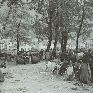 Commerzi e fiera da muvel