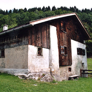 Vitg da Heidi