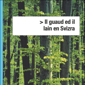 Il guaud ed il lain en Svizra