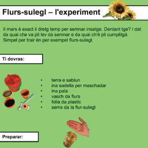 Flurs-sulegl