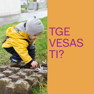 Jau ves insatge – tge vesas ti?