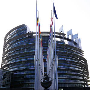 Parlament, Cussegl e Cumissiun