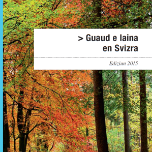 Guaud e laina en Svizra