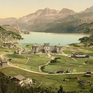 Ervas e curas da scotga