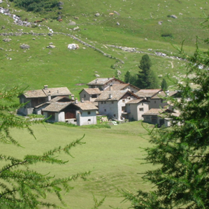 Val Fex