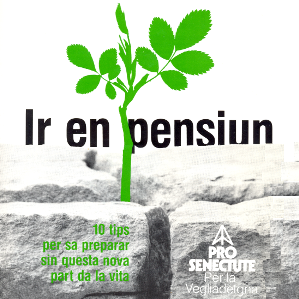 Ir en pensiun