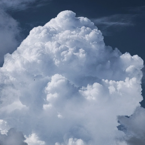 Nivels, plievgia ed urizis