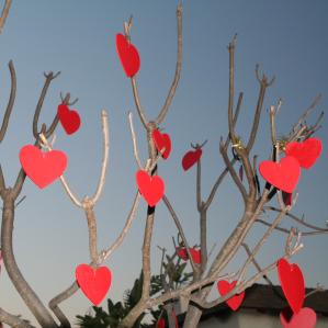 Il di da Son Valentin