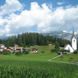 Versomi
