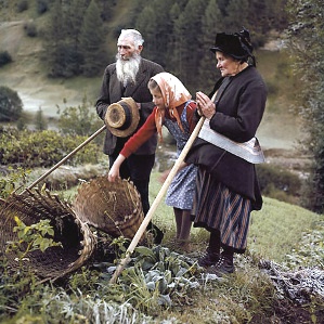 Vita muntagnarda enturn il 1950