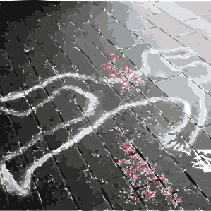 Sang, sgarschur e snavur